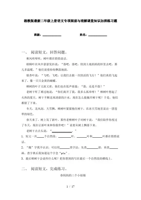 湘教版最新二年级上册语文专项阅读与理解课堂知识加深练习题