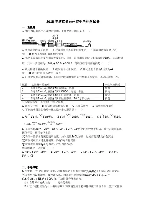 2018年浙江省台州市中考化学试卷(化学中考真题含答案)  