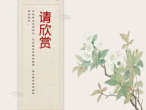牛顿定律应用中的临界和极值问题
