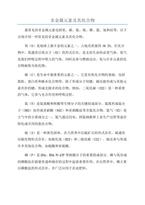 非金属元素及其化合物
