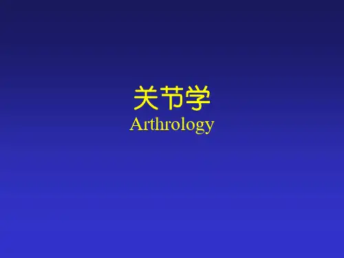 人体解剖学：关节学 (2)