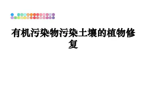 最新有机污染物污染土壤的植物修复教学讲义PPT