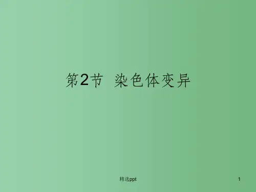 (新课标)高中生物《染色体变异》课件1 新人教版必修2