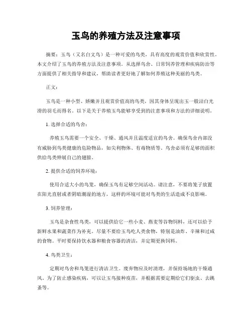 玉鸟的养殖方法及注意事项