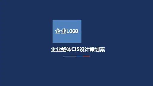 企业CIS方案模板精品PPT课件