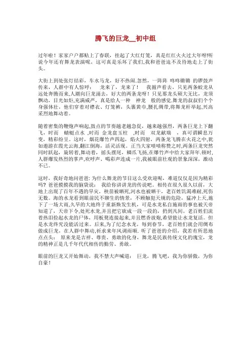 腾飞的巨龙初中组