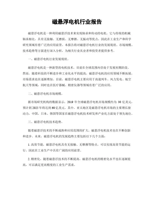 磁悬浮电机行业报告