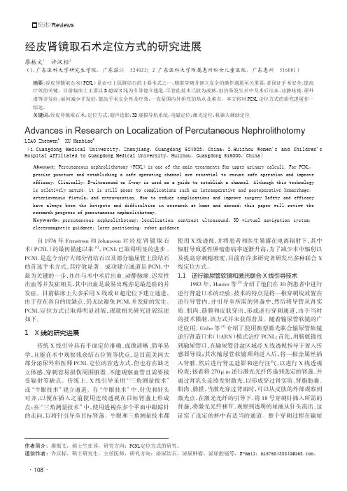 经皮肾镜取石术定位方式的研究进展
