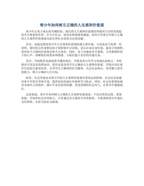 青少年如何树立正确的人生观价值观作文