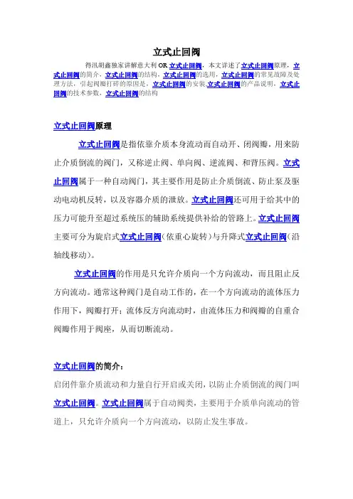 立式止回阀