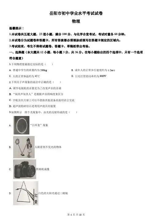 各地中考物理真题解析版：湖南省岳阳市中考物理试题