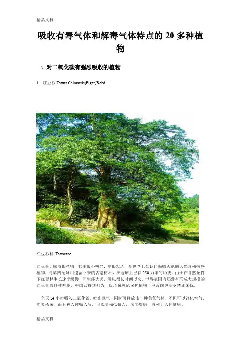 (整理)能吸收有毒气体,和解毒气体的20种园林植物