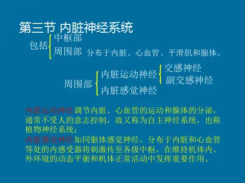系统解剖学内脏神经