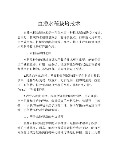 直播水稻栽培技术