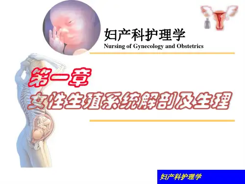 第一章 女性生殖系统解剖与生理
