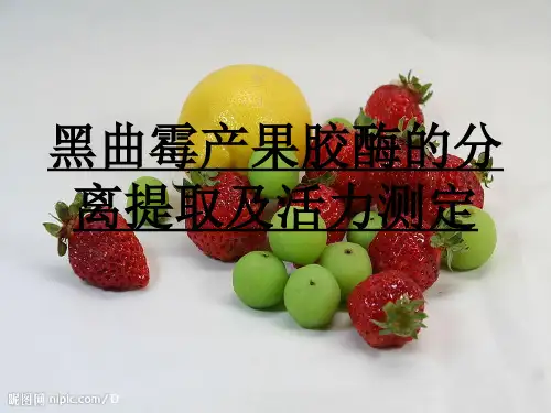 黑曲霉产果胶酶的分离提取及活力测定