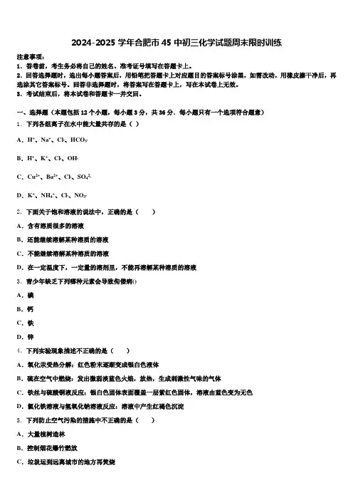 2024-2025学年合肥市45中初三化学试题周末限时训练含解析