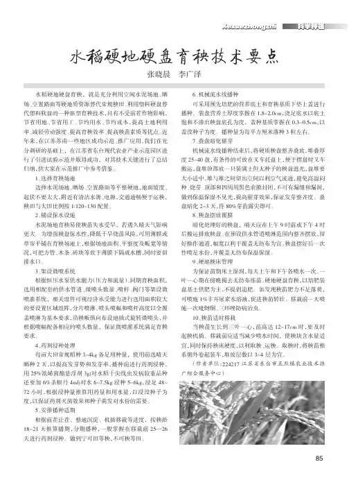 水稻硬地硬盘育秧技术要点