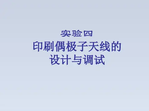 2024-印刷偶极子天线设计