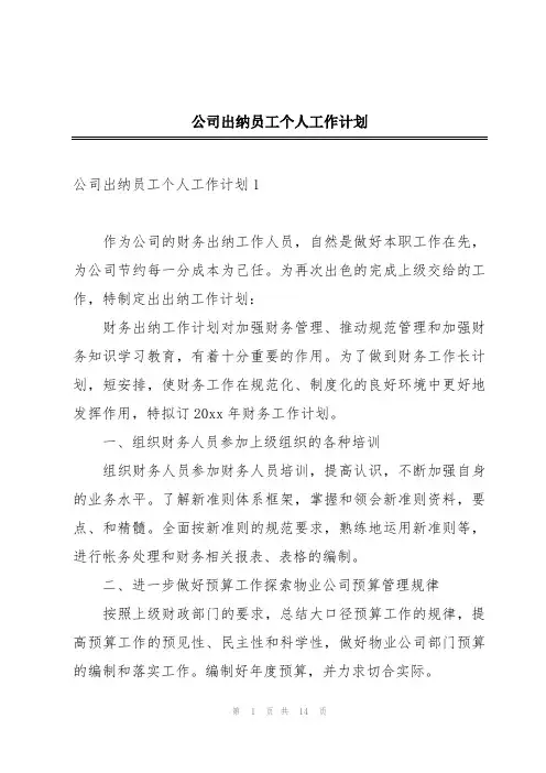公司出纳员工个人工作计划