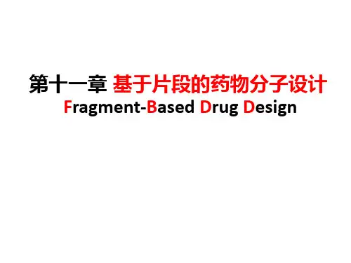 药物设计学 11第十一章 基于片段的药物分子设计
