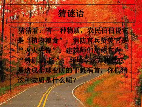 九年级化学下册《奇妙的二氧化碳》课件 