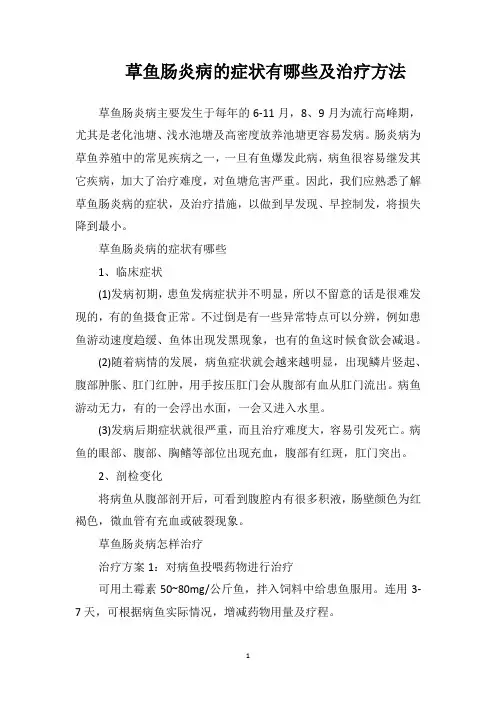 草鱼肠炎病的症状有哪些及治疗方法