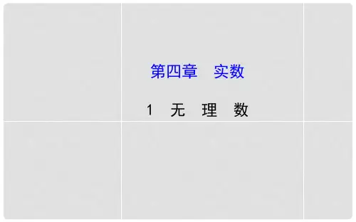 七年级数学上册 第四章 1 无理数课件 鲁教版五四制