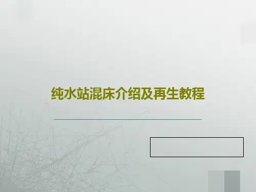 纯水站混床介绍及再生教程39页PPT