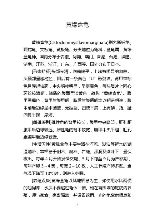 黄缘盒龟_??????