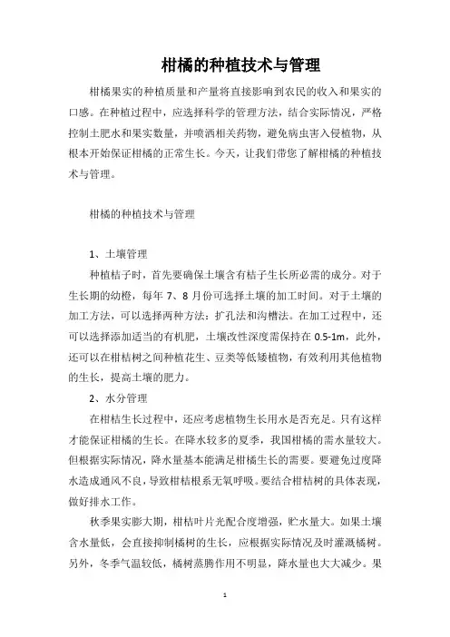柑橘的种植技术与管理
