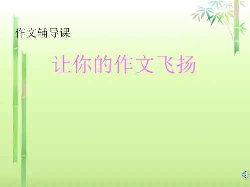 初中作文指导：让你的作文文采飞扬ppt9精选PPT教学课件