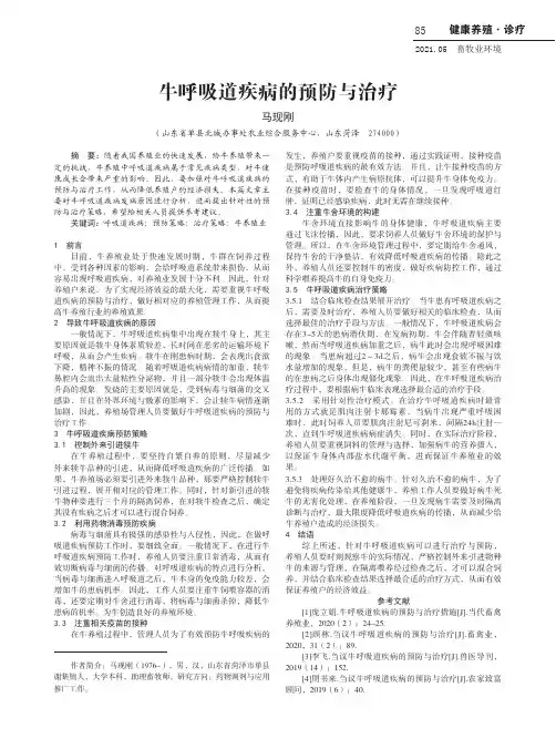牛呼吸道疾病的预防与治疗