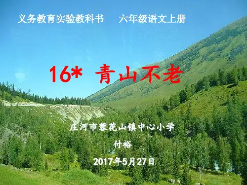 部编六年级上人教《16 青山不老》付裕PPT课件 一等奖新名师优质课获奖比赛公开免费下载