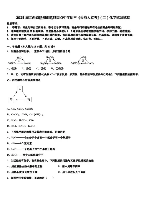 2025届江西省赣州市赣县重点中学初三《天府大联考》(二)化学试题试卷含解析