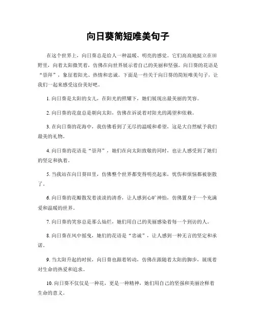 向日葵简短唯美句子