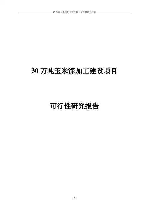 30万吨玉米深加工建设项目可行性研究报告