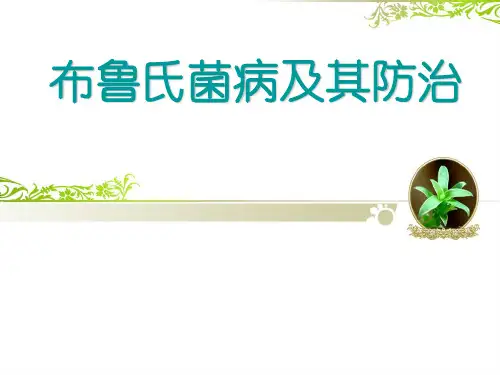 布鲁氏菌病及其防治