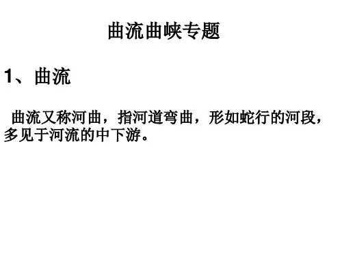 高考地理二轮复习 微专题 曲流曲峡PPT幻灯片