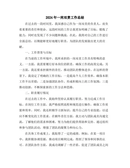 2024年一岗双责工作总结