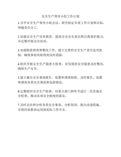 安全生产领导小组工作计划