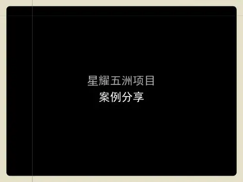 星耀五洲09年案例分享