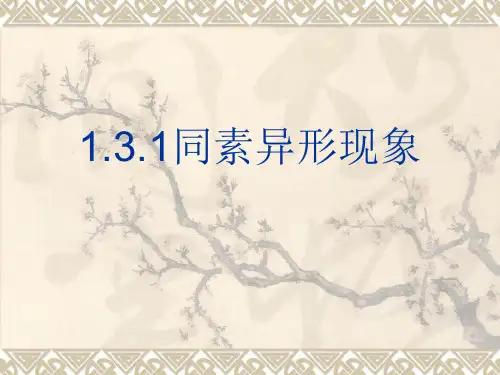 同素异形体现象PPT课件