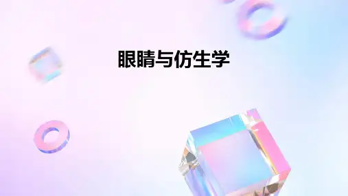 眼睛与仿生学ppt