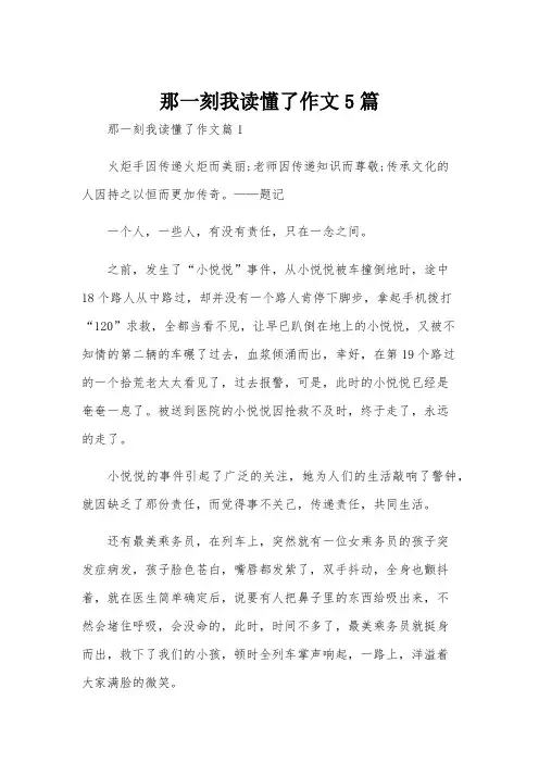 那一刻我读懂了作文5篇