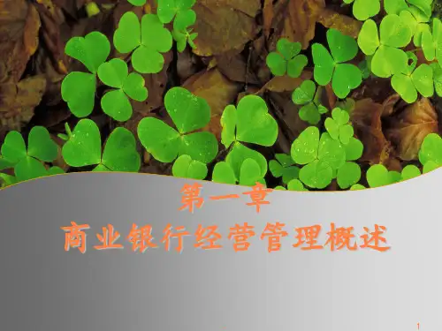 第一章商业银行经营管理ppt课件