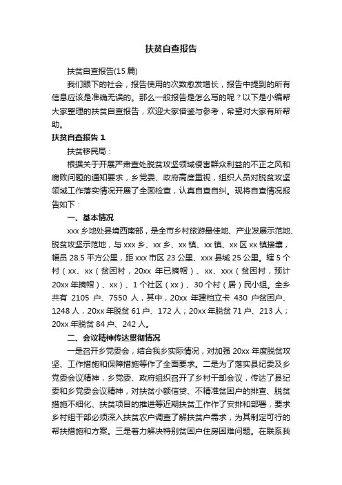 扶贫自查报告