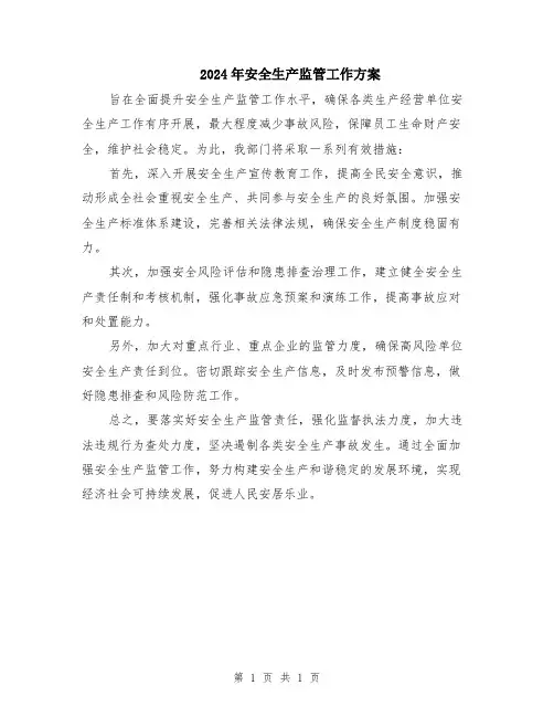 2024年安全生产监管工作方案