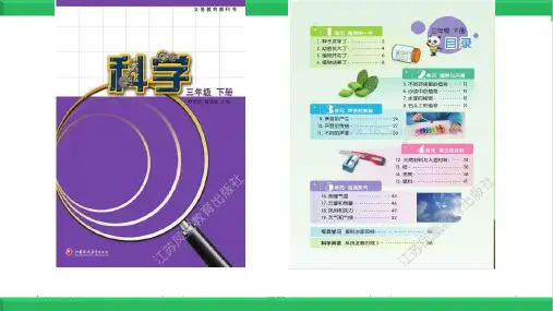 《种子发芽了》课件PPT