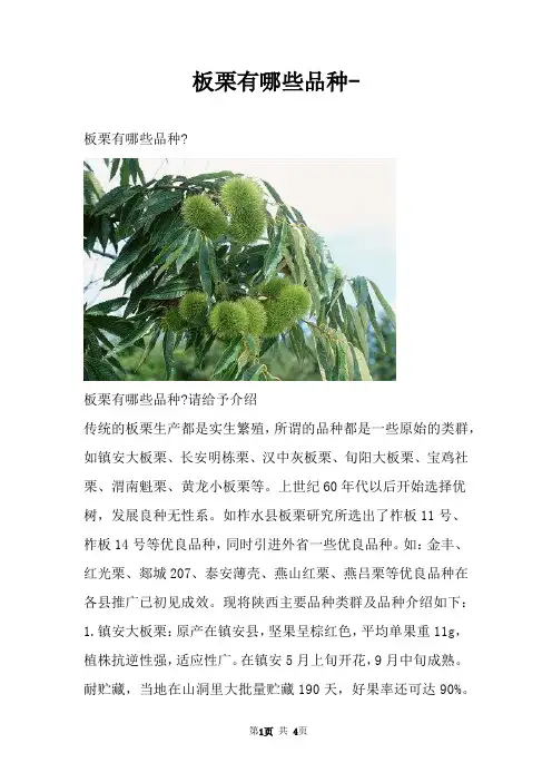 板栗有哪些品种